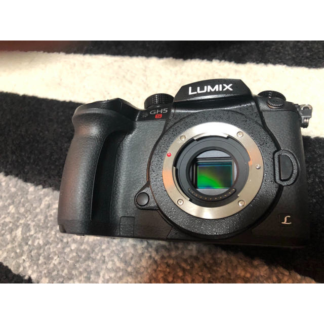 Panasonic(パナソニック)のPanasonic Lumix GH5S スマホ/家電/カメラのカメラ(ミラーレス一眼)の商品写真