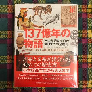 ブンゲイシュンジュウ(文藝春秋)の１３７億年の物語 宇宙が始まってから今日までの全歴史(人文/社会)