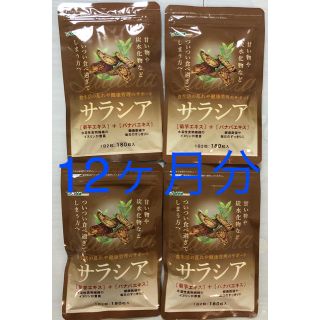 サラシア 12ヶ月分 新品未開封 匿名配送 翌日発送(ダイエット食品)