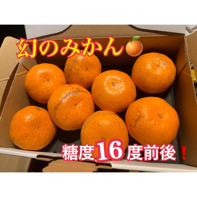 熊本県 幻の河内みかん  ☆完熟無農薬ミカン☆農家直送 食品/飲料/酒の食品(フルーツ)の商品写真