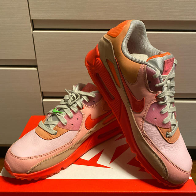 日本未発売 NIKE WMNS AIR MAX 90