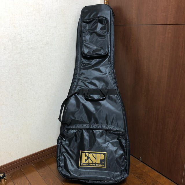 ESP(イーエスピー)のEdwards E-SE skin 美品 ストラトキャスター  sugizo 楽器のギター(エレキギター)の商品写真