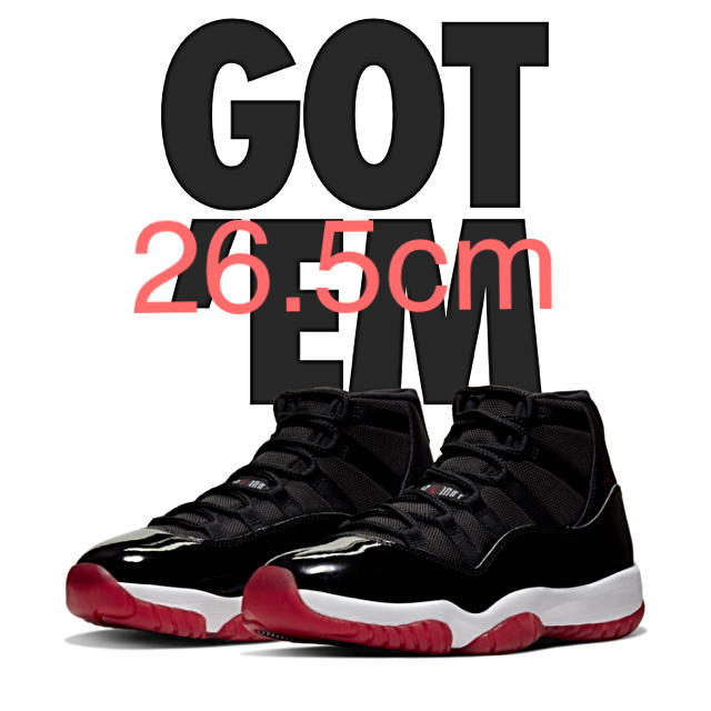 NIKE AIR JORDAN 11  26.5