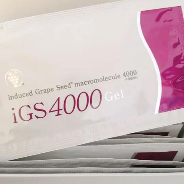 igs4000