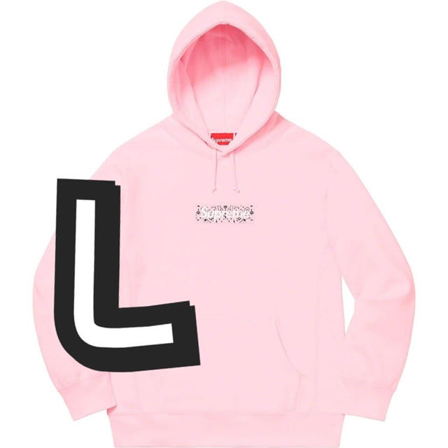 bandana box logo hooded sweatshirt