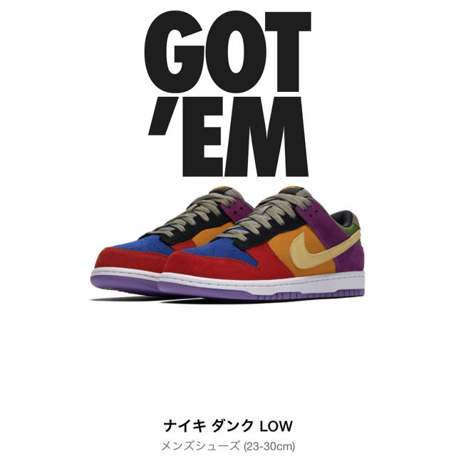 NIKE(ナイキ)のNIKE DUNK LOW VIOTECH メンズの靴/シューズ(スニーカー)の商品写真