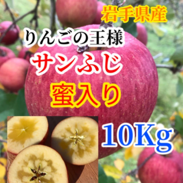 【送料込】蜜入りサンふじ 10㎏ 家庭用　30〜36個  食品/飲料/酒の食品(フルーツ)の商品写真