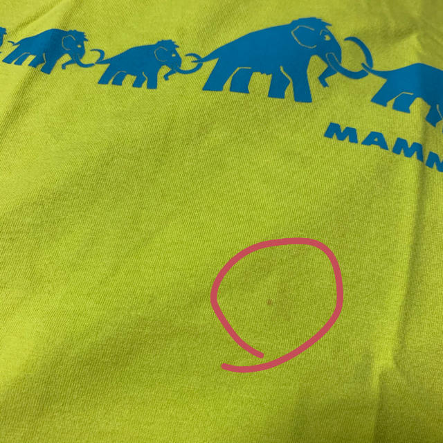 Mammut(マムート)の花音様専用　mammut T shirt レディースのトップス(Tシャツ(半袖/袖なし))の商品写真