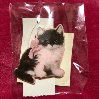 LeurGetterルルゲッタ catネコ