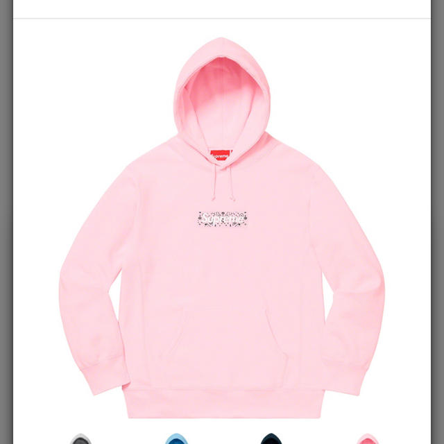 Supreme(シュプリーム)のBandana Box Logo Hooded Sweatshirt メンズのトップス(パーカー)の商品写真