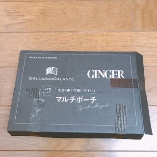 ガリャルダガランテ(GALLARDA GALANTE)のGINGER 1月号付録ポーチ(ポーチ)