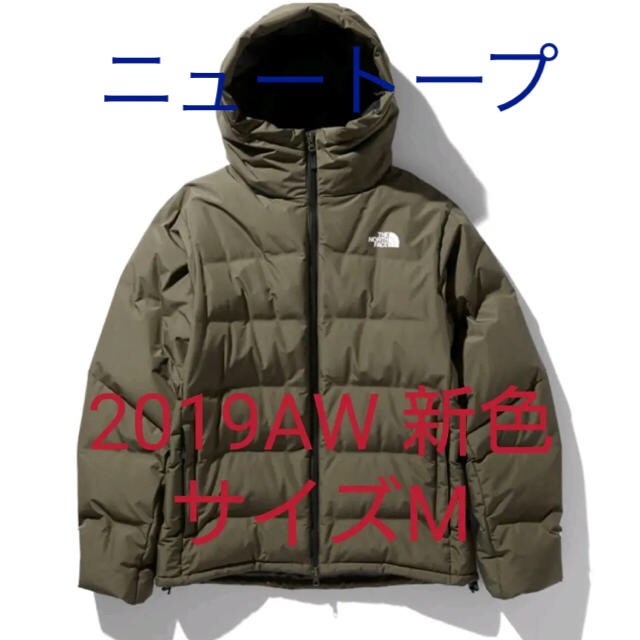 2019AW ノースフェイス ビレイヤーパーカー