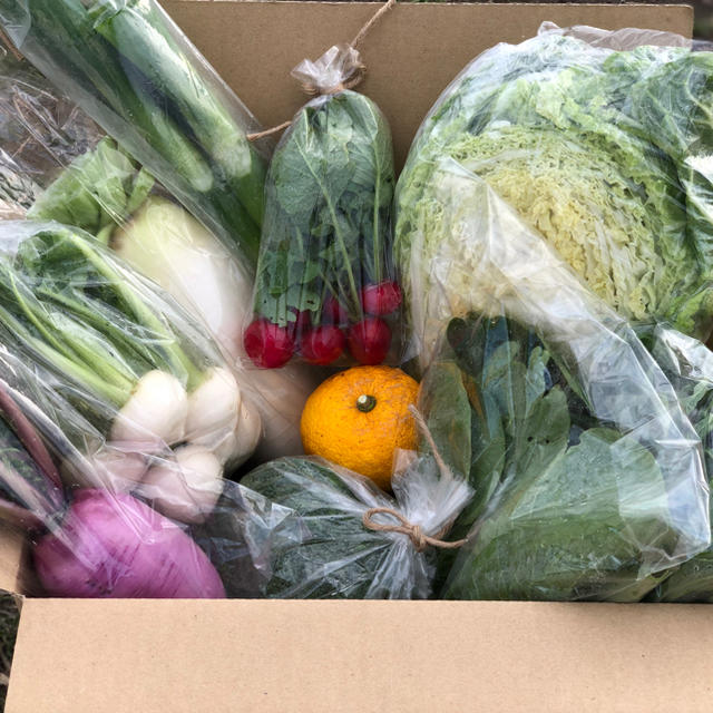 鹿児島で育った有機野菜詰め合わせ　80サイズ 食品/飲料/酒の食品(野菜)の商品写真