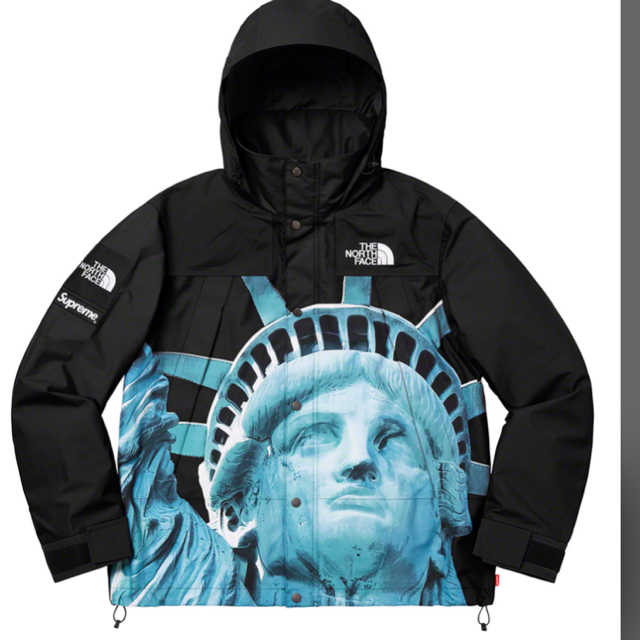 supreme north face statue of liberty M