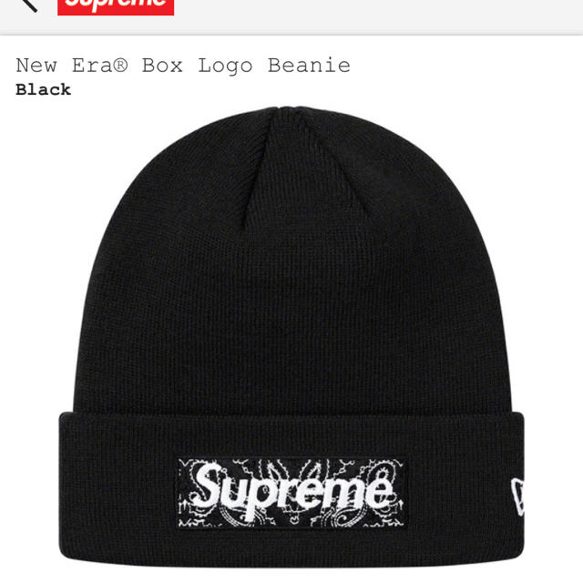 Supreme New Era Slogo Beanie