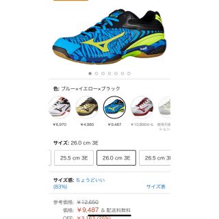 ミズノ(MIZUNO)のミズノ スポーツシューズ 試着のみ 26cm(シューズ)