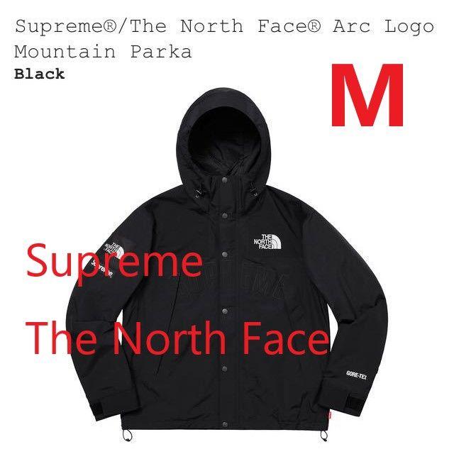 Supreme/The North Face Mountain Parka