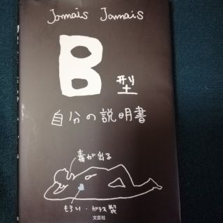 Ｂ型自分の説明書(その他)