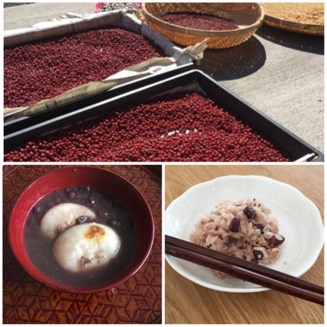 北海道産 大納言小豆「ほまれ」500ｇ 食品/飲料/酒の食品(米/穀物)の商品写真
