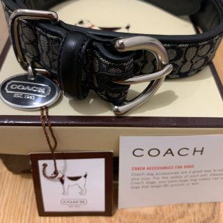 コーチ(COACH)のCOACH シグネチャー　首輪(犬)