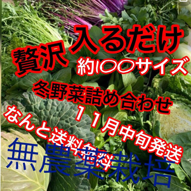 冬野菜詰め合わせ残りわずかるんちゃん専用ですカブ抜き約１４０サイズ予定 食品/飲料/酒の食品(野菜)の商品写真