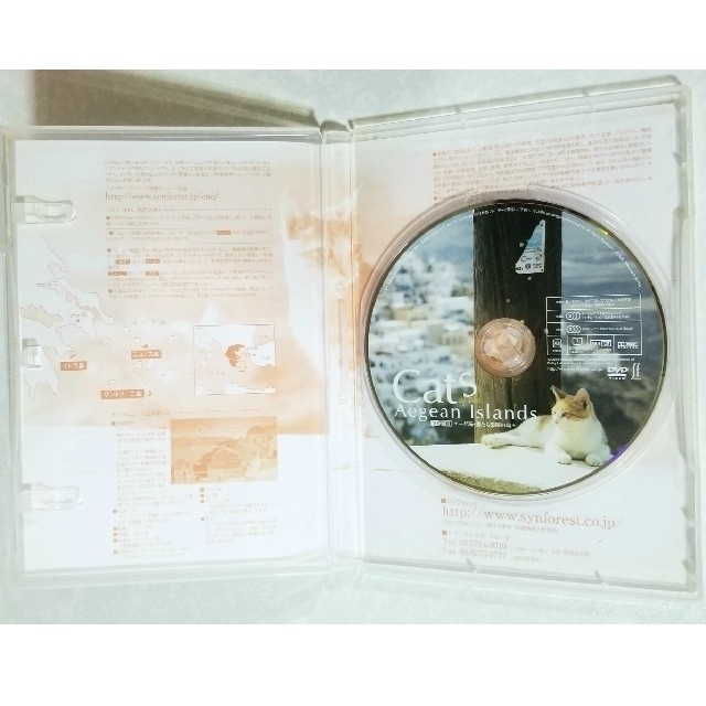 エーゲ海・猫たち楽園の島々 DVD　中古 エンタメ/ホビーのDVD/ブルーレイ(趣味/実用)の商品写真