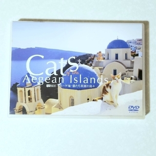 エーゲ海・猫たち楽園の島々 DVD　中古(趣味/実用)
