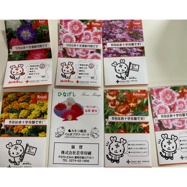 花の種 ハンドメイドのフラワー/ガーデン(その他)の商品写真