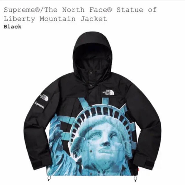 Supreme - Mサイズ Supreme North Face Mountain Jacket