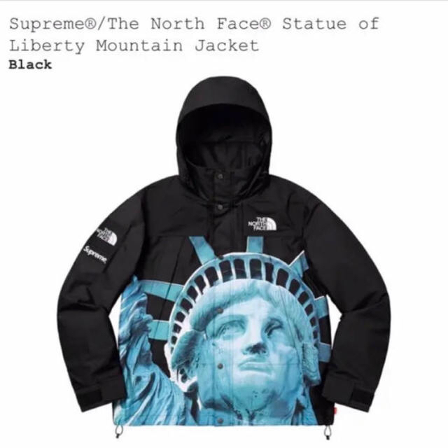 Supreme(シュプリーム)のMサイズ Supreme North Face Mountain Jacket メンズのジャケット/アウター(マウンテンパーカー)の商品写真