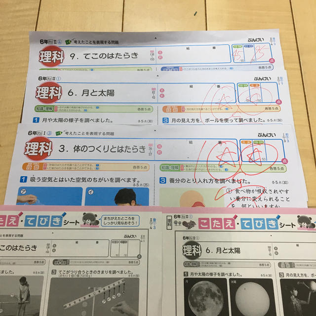 小学校6年生 理科のテスト 3枚 答え手引き付の通販 By Nako S Shop ラクマ