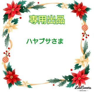 専用出品 ハヤブサさま(スウェット)