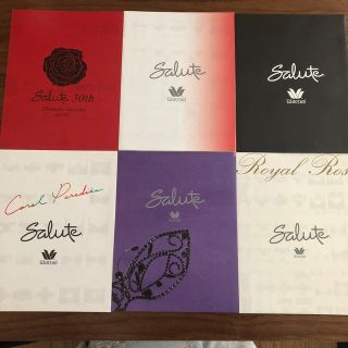 ワコール(Wacoal)のsalute サルート　パンフレット6種(印刷物)