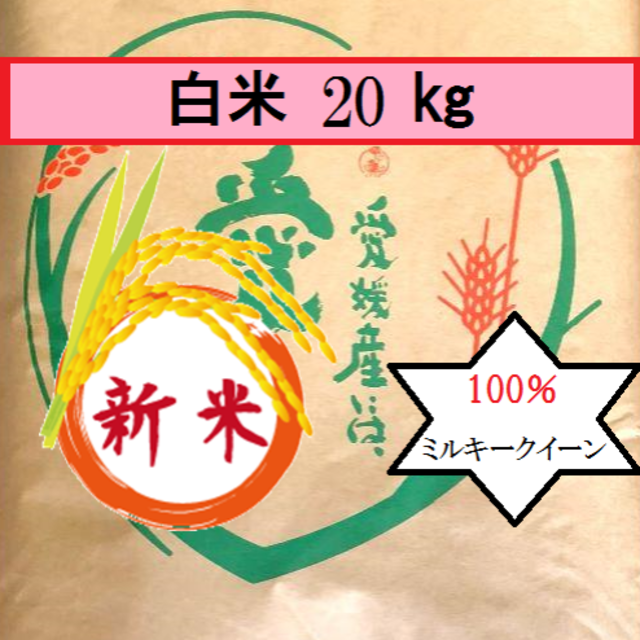 食品/飲料/酒お米　令和元年　愛媛産ミルキークイーン　白米　20㎏