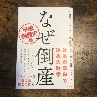 ニッケイビーピー(日経BP)のなぜ倒産　平成倒産史編(ビジネス/経済)