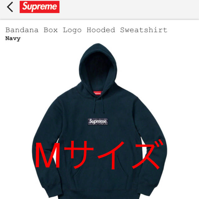 Bandana Box Logo Hooded Sweatshirt Mサイズ