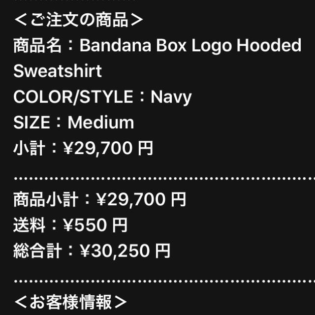 Bandana Box Logo Hooded Sweatshirt Mサイズ