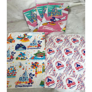 ディズニー(Disney)のTDL 東京ディズニーランド 紙袋 5周年(ショップ袋)