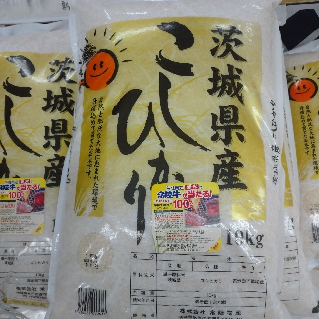 食品/飲料/酒コシヒカリ10k × 二袋