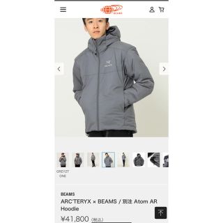 アークテリクス(ARC'TERYX)のAtom AR Hoodie(ダウンジャケット)