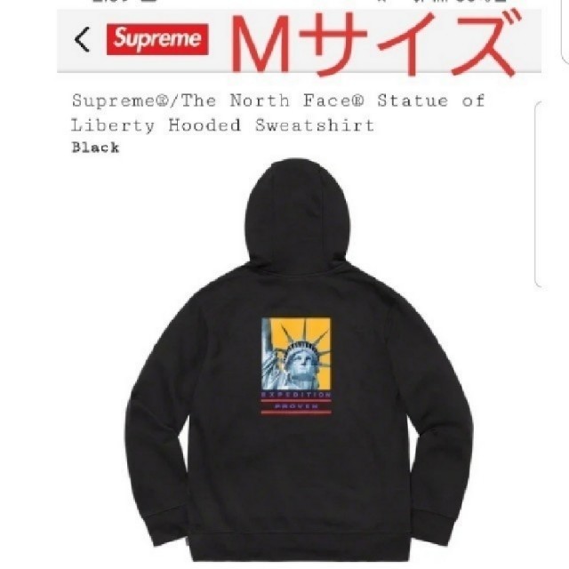 Supreme The North Face Hooded Sweatshirt