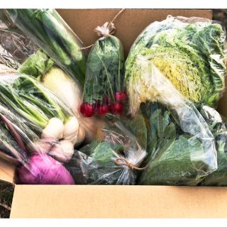 鹿児島で育った有機野菜詰め合わせ　80サイズ(野菜)