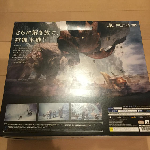 PlayStation 4 Pro “モンスターハンターワールド：アイスボーン 1