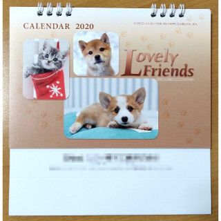 かわいい犬猫 卓上カレンダー Lovely Friends 2020年(カレンダー/スケジュール)