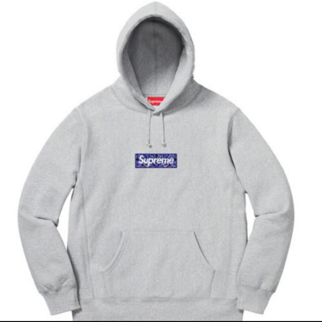 Bandana Box Logo Hooded Sweatshirt