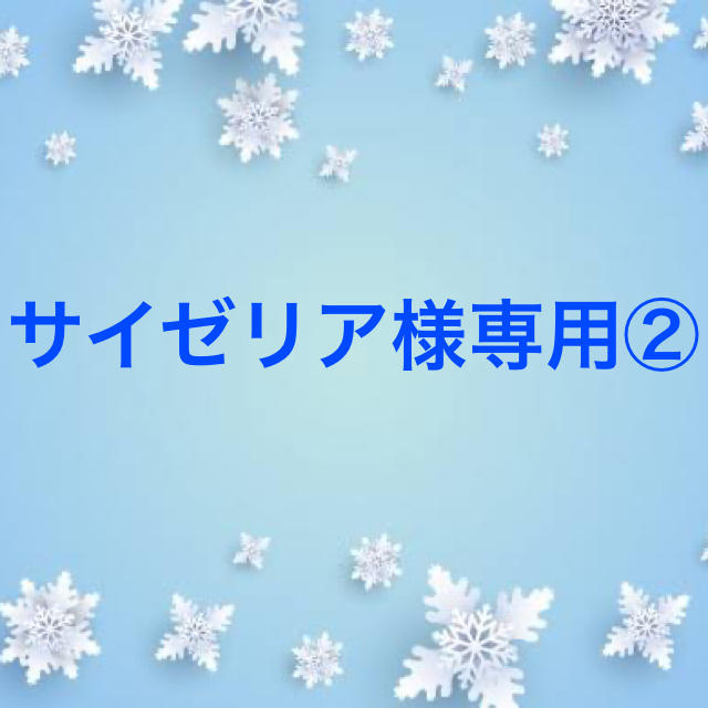 通販大阪 サイゼリア様専用ページ② その他