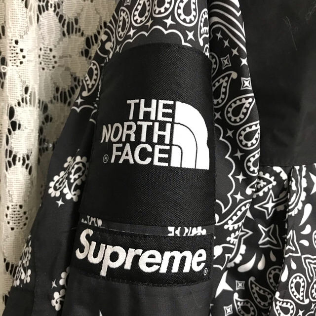 Supreme North Face BandanaMountain Parka