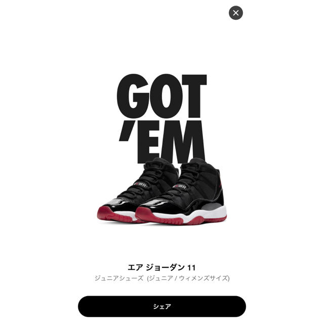 AIR JORDAN 11 BRED ジュニア 23cm