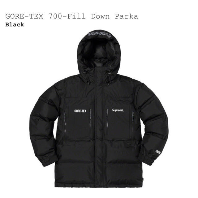 supreme GORE-TEX 700-fill down Parka