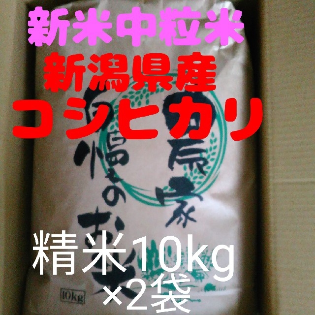 食品/飲料/酒【即購入OK】新潟県長岡産新米コシヒカリ中粒米10キロ精米×2袋同梱